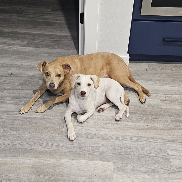 the No Numbers, Box fun - Picture 3 of 4